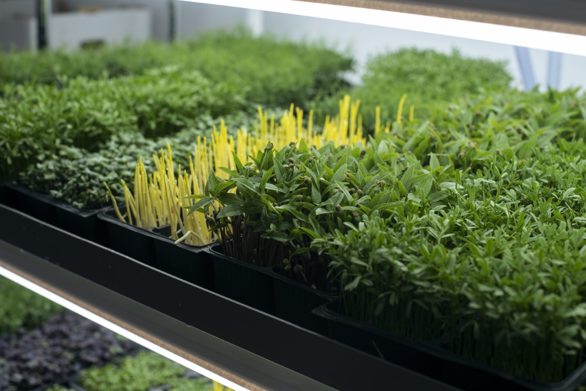 About us | Discover the Hy-Farm story