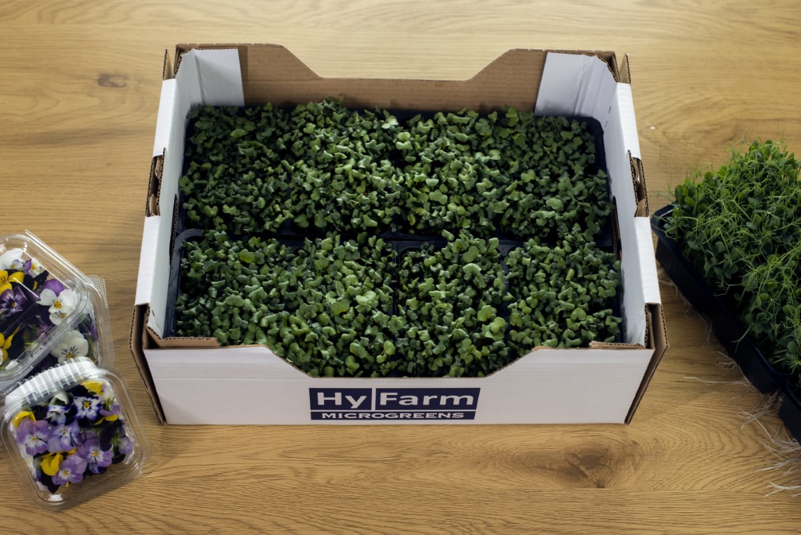 About us | Discover the Hy-Farm story