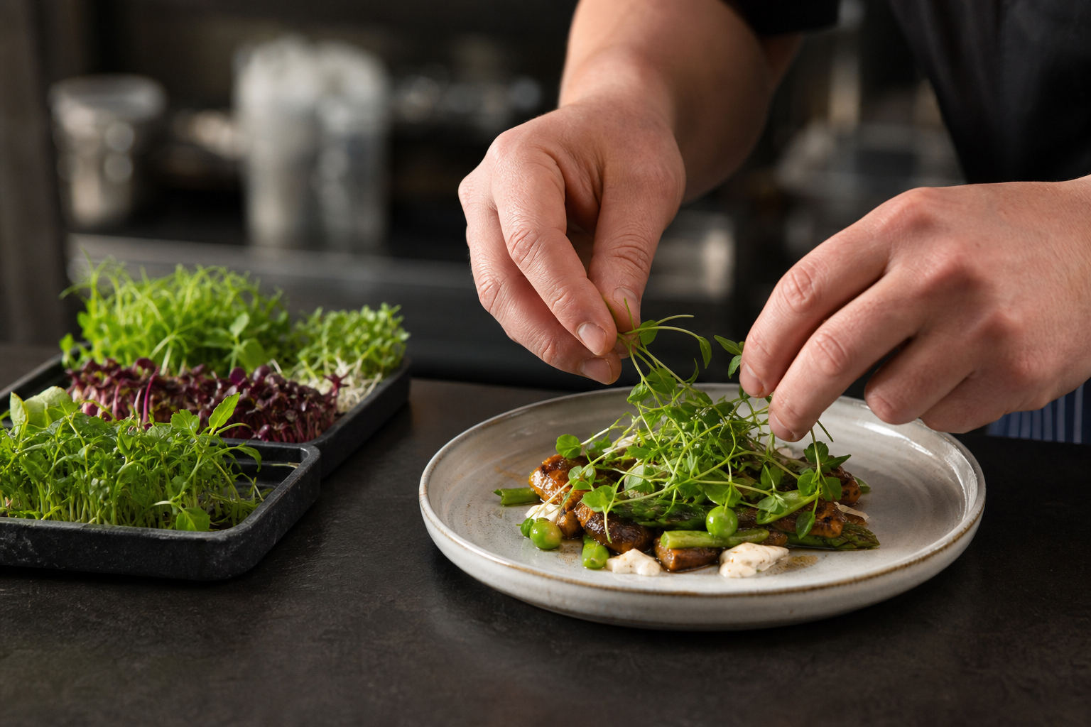 Illustration of a chef adding fresh microgreens to a restaurant dish.