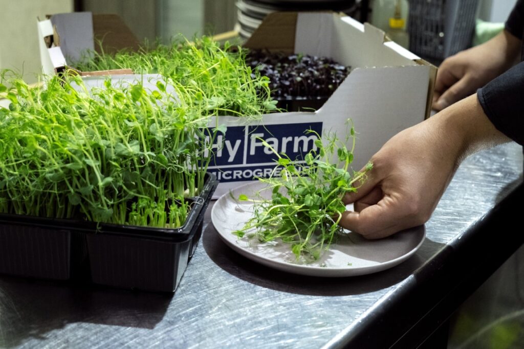 A chef plates fresh Hy-Farm microgreens in a restaurant kitchen.