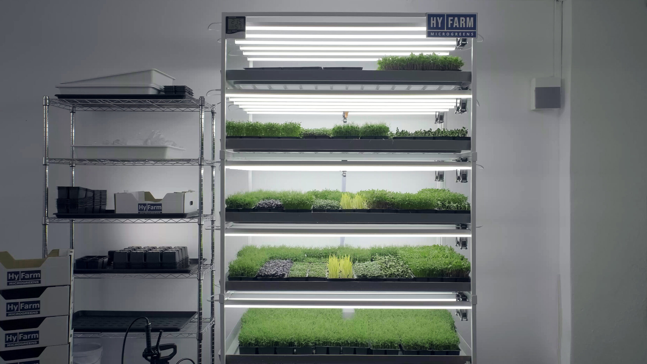 A Hy-Farm production room with the verified growing system, cultivation trays and living microgreens.